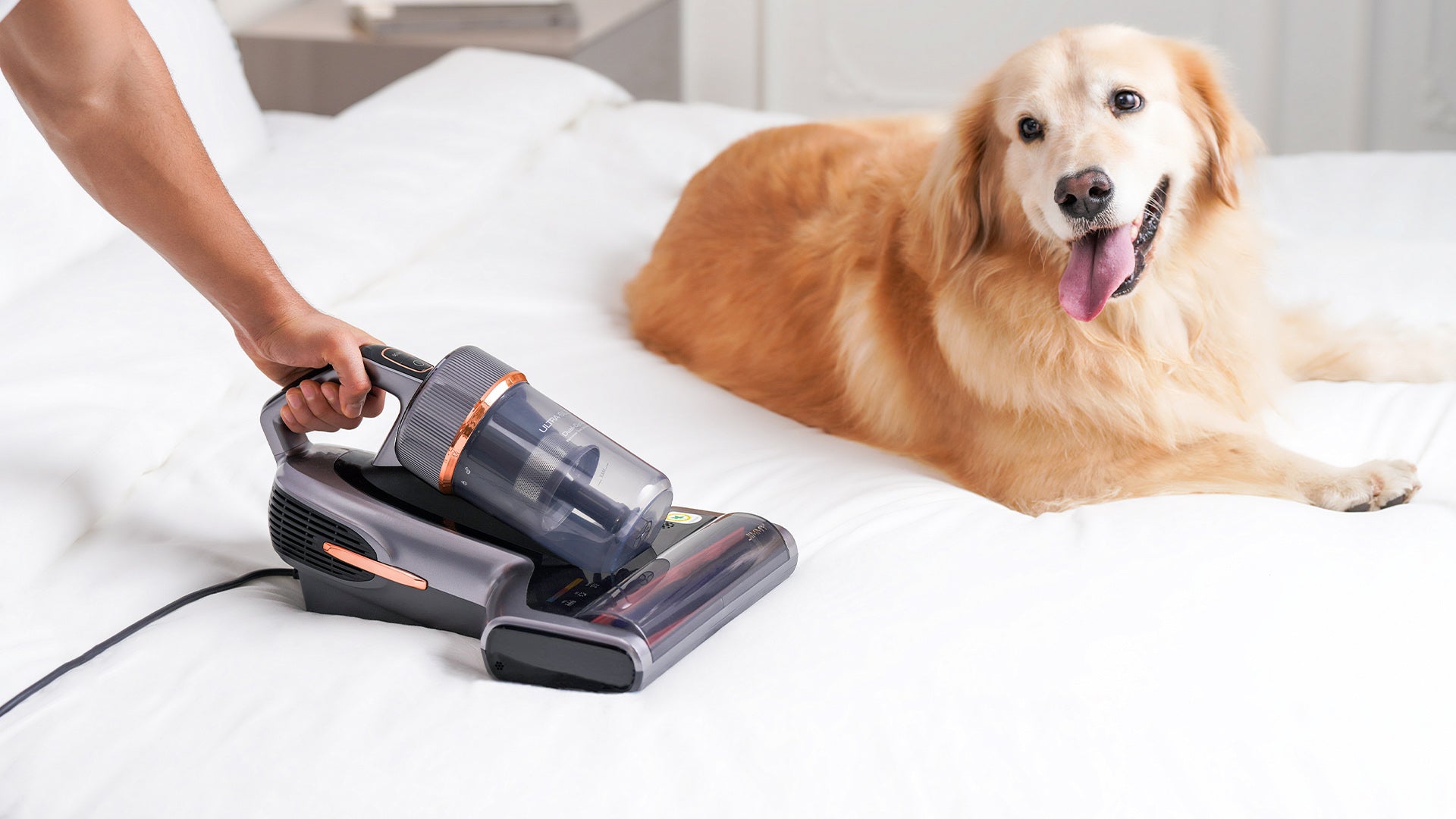 Jimmy BX7 Pro Max Review: The Ultimate Bed Vacuum for Allergy