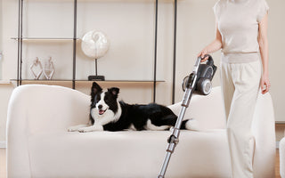 The Ultimate Guide: How Pet Owners Choose a Vacuum