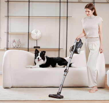 The Ultimate Guide: How Pet Owners Choose a Vacuum