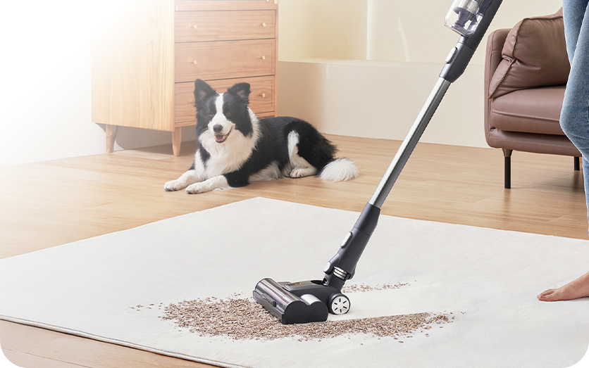 Carpet Cleaning