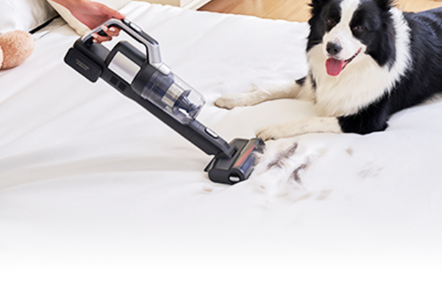 Mattress Cleaning